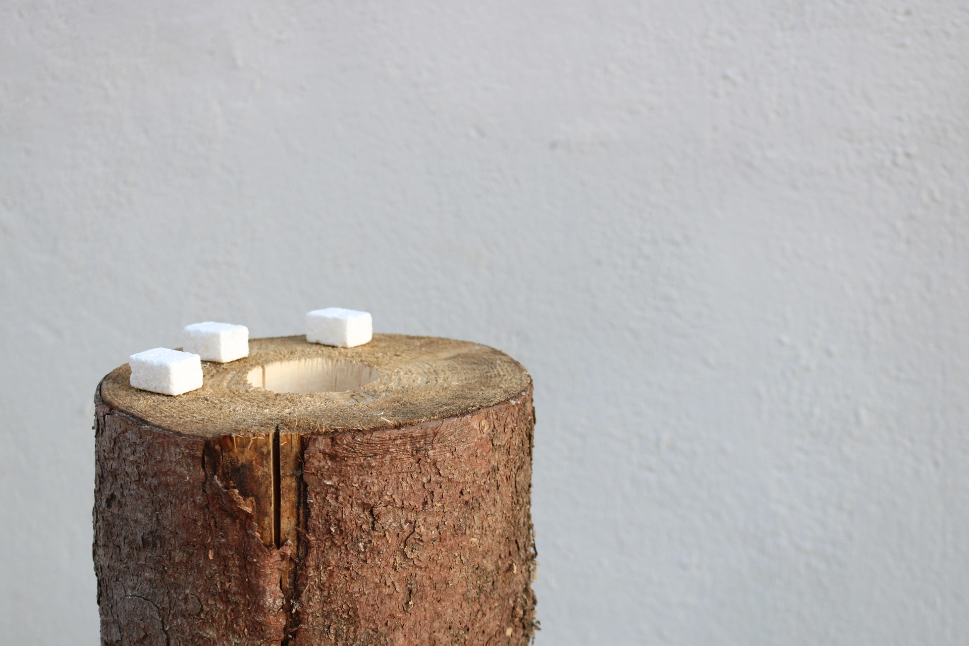 Vorbereitung Schwedenfeuer